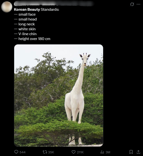 de7c2556-2f6c-46a1-be9a-8f5353b1f852-17615493126461939506874.png