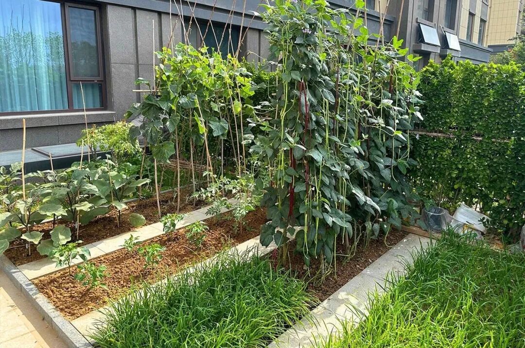 Dì tôi luôn bị nói là keo kiệt, nhưng càng nhìn kỹ, tôi càng hiểu: Đó là cách sống thông minh nhất đời- Ảnh 1. Dì tôi luôn bị nói là keo kiệt, nhưng càng nhìn kỹ, tôi càng hiểu: Đó là cách sống thông minh nhất đời- Ảnh 1.