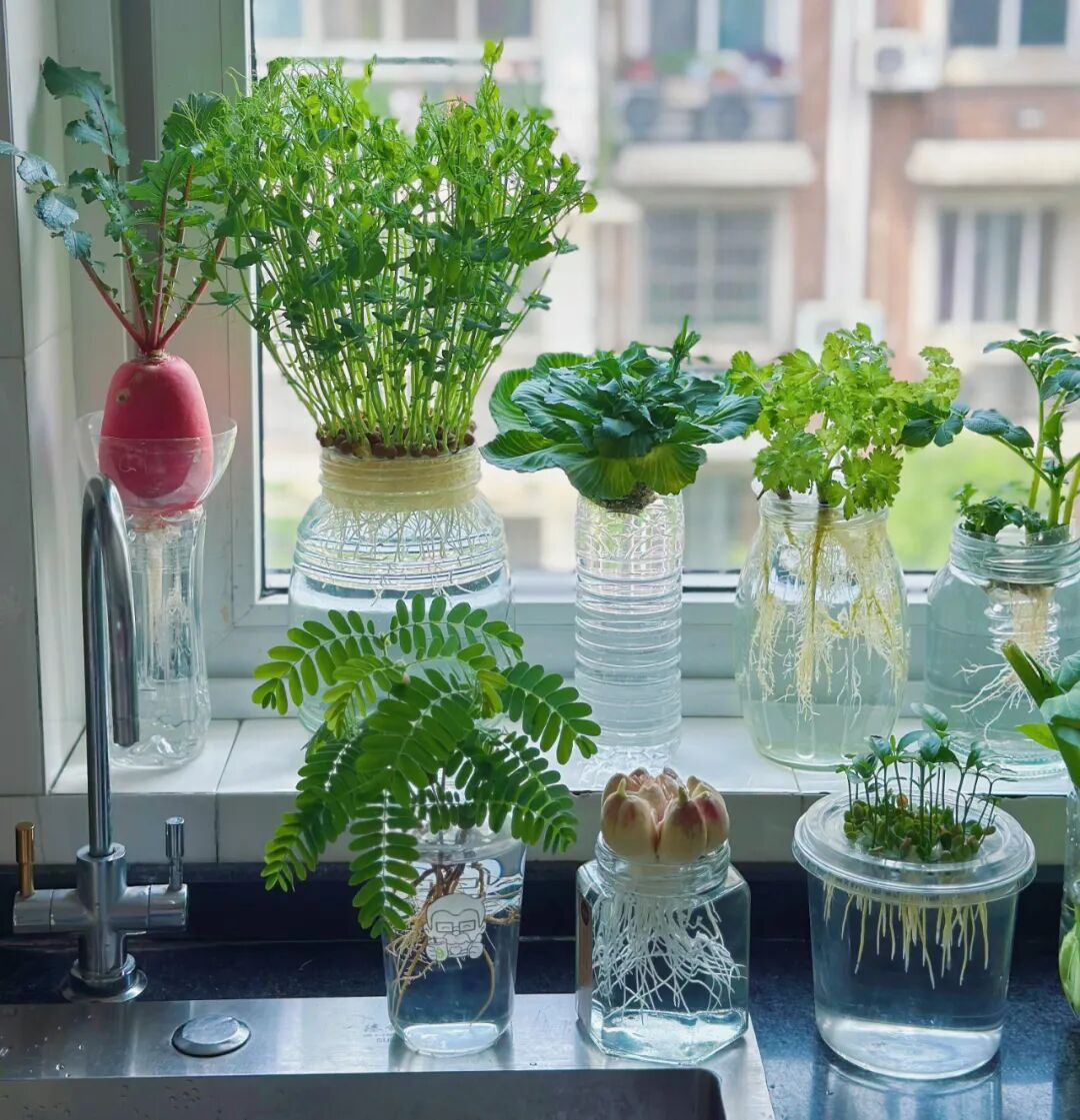 Dì tôi luôn bị nói là keo kiệt, nhưng càng nhìn kỹ, tôi càng hiểu: Đó là cách sống thông minh nhất đời- Ảnh 9. Dì tôi luôn bị nói là keo kiệt, nhưng càng nhìn kỹ, tôi càng hiểu: Đó là cách sống thông minh nhất đời- Ảnh 9.