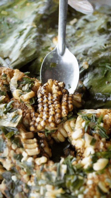 Hơn 9 triệu người vào xem món đặc sản núi rừng béo ngậy này, nhưng không biết có bao nhiêu người dám thử?- Ảnh 9. Hơn 9 triệu người vào xem món đặc sản núi rừng béo ngậy này, nhưng không biết có bao nhiêu người dám thử?- Ảnh 9.