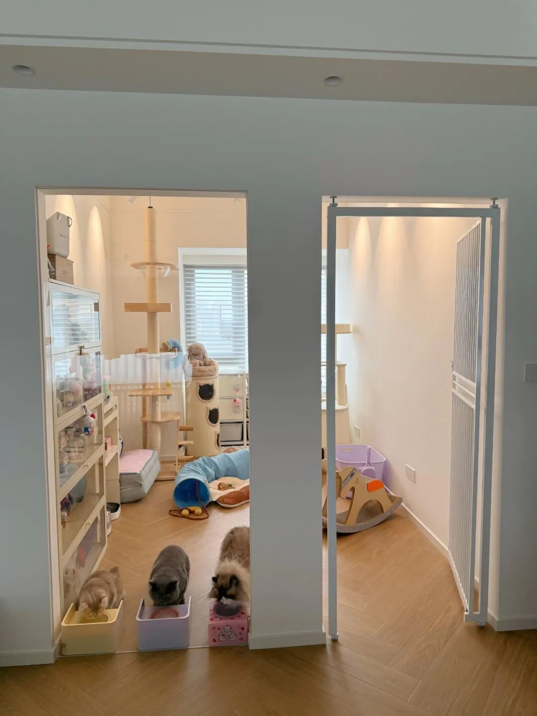 Giới trẻ trang trí nhà “ngược đời” nhưng cực thông minh: Toàn ý tưởng tưởng kỳ quặc mà sống rồi mới thấy đúng quá!- Ảnh 9. Giới trẻ trang trí nhà “ngược đời” nhưng cực thông minh: Toàn ý tưởng tưởng kỳ quặc mà sống rồi mới thấy đúng quá!- Ảnh 9.