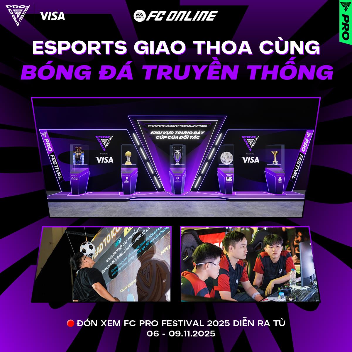 Việt Nam chính thức đăng cai tổ chức FC Pro Festival 2025 với sự hiện diện của Ricardo Kaká & Luís Figo- Ảnh 2. Việt Nam chính thức đăng cai tổ chức FC Pro Festival 2025 với sự hiện diện của Ricardo Kaká & Luís Figo- Ảnh 2.