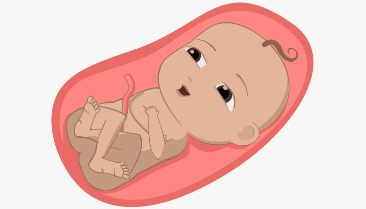 Tuần thai thứ 37: Bé yêu đã đủ tháng để chào đời, mẹ cần khám thai hàng tuần- Ảnh 7. Tuần thai thứ 37: Bé yêu đã đủ tháng để chào đời, mẹ cần khám thai hàng tuần- Ảnh 7.