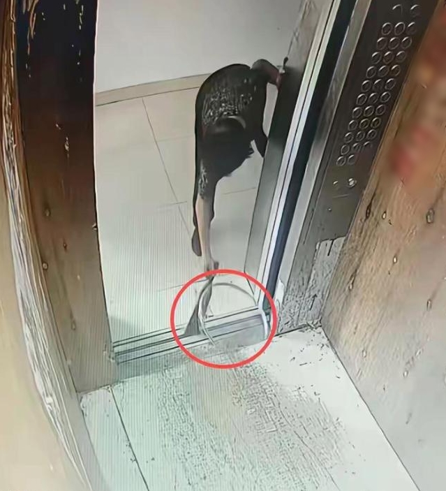 Clip 46 giây "bà áo báo" có hành động thiếu IQ làm thang máy biến dạng, phát tín hiệu dừng khẩn cấp- Ảnh 1.