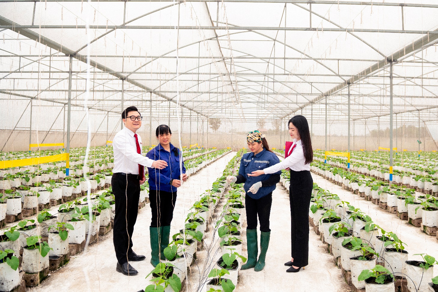 Agribank đẩy mạnh sắp xếp tổ chức mạng lưới theo hướng tăng cường phát triển "tam nông"- Ảnh 5.