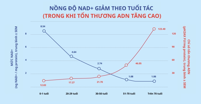 Vì sao NMN được xem là "chìa khóa" chống lão hóa?- Ảnh 1. Vì sao NMN được xem là "chìa khóa" chống lão hóa?- Ảnh 1.