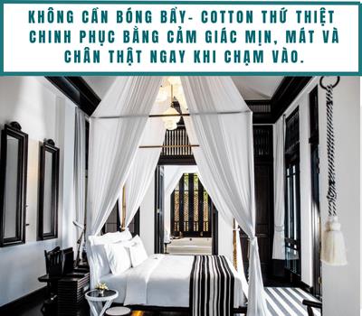 Bí mật giấc ngủ 5 sao: Vì sao họ chỉ chọn cotton thứ thiệt?- Ảnh 4. Bí mật giấc ngủ 5 sao: Vì sao họ chỉ chọn cotton thứ thiệt?- Ảnh 4.