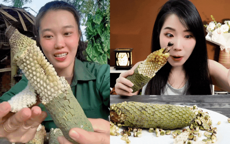 Loại quả nhìn như tổ ong, phải chờ 7 năm mới được ăn: Nhà giàu trồng làm cảnh, TikToker dùng để... mukbang- Ảnh 2. Loại quả nhìn như tổ ong, phải chờ 7 năm mới được ăn: Nhà giàu trồng làm cảnh, TikToker dùng để... mukbang- Ảnh 2.