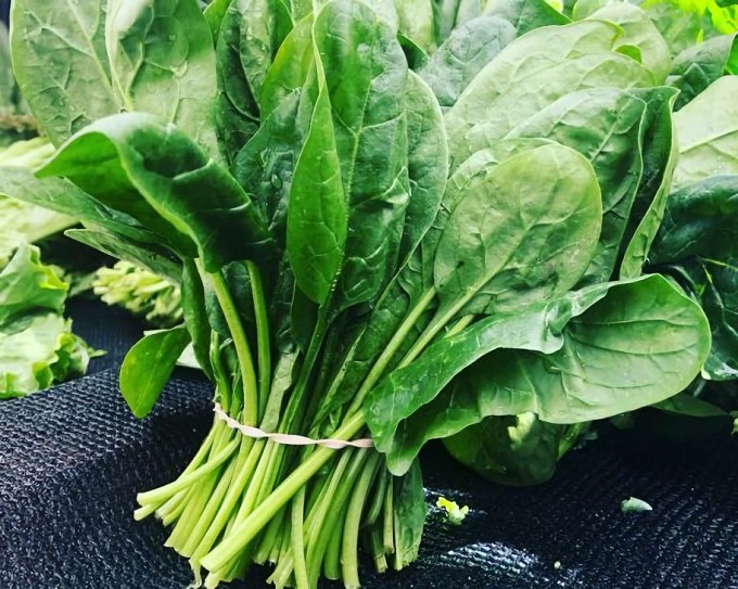 Hướng dẫn chọn thực phẩm giảm cân mùa đông: 10 nguyên liệu ít calo, giàu chất xơ vừa ngon miệng lại giảm cân lành mạnh- Ảnh 5. Hướng dẫn chọn thực phẩm giảm cân mùa đông: 10 nguyên liệu ít calo, giàu chất xơ vừa ngon miệng lại giảm cân lành mạnh- Ảnh 5.