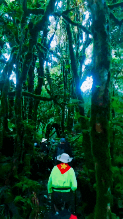 Phu Sa Phìn có một nơi lên hình "ảo" như lạc vào phim Avatar- Ảnh 2. Phu Sa Phìn có một nơi lên hình "ảo" như lạc vào phim Avatar- Ảnh 2.