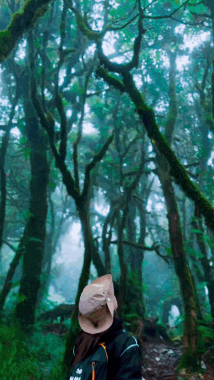 Phu Sa Phìn có một nơi lên hình "ảo" như lạc vào phim Avatar- Ảnh 5. Phu Sa Phìn có một nơi lên hình "ảo" như lạc vào phim Avatar- Ảnh 5.