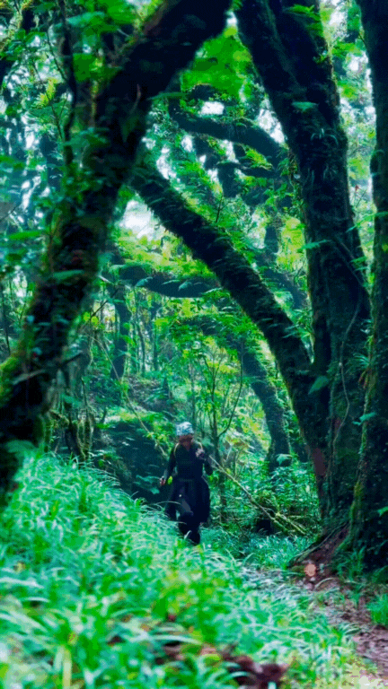 Phu Sa Phìn có một nơi lên hình "ảo" như lạc vào phim Avatar- Ảnh 4. Phu Sa Phìn có một nơi lên hình "ảo" như lạc vào phim Avatar- Ảnh 4.