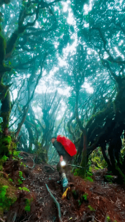 Phu Sa Phìn có một nơi lên hình "ảo" như lạc vào phim Avatar- Ảnh 6. Phu Sa Phìn có một nơi lên hình "ảo" như lạc vào phim Avatar- Ảnh 6.