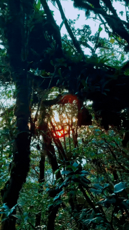 Phu Sa Phìn có một nơi lên hình "ảo" như lạc vào phim Avatar- Ảnh 8. Phu Sa Phìn có một nơi lên hình "ảo" như lạc vào phim Avatar- Ảnh 8.