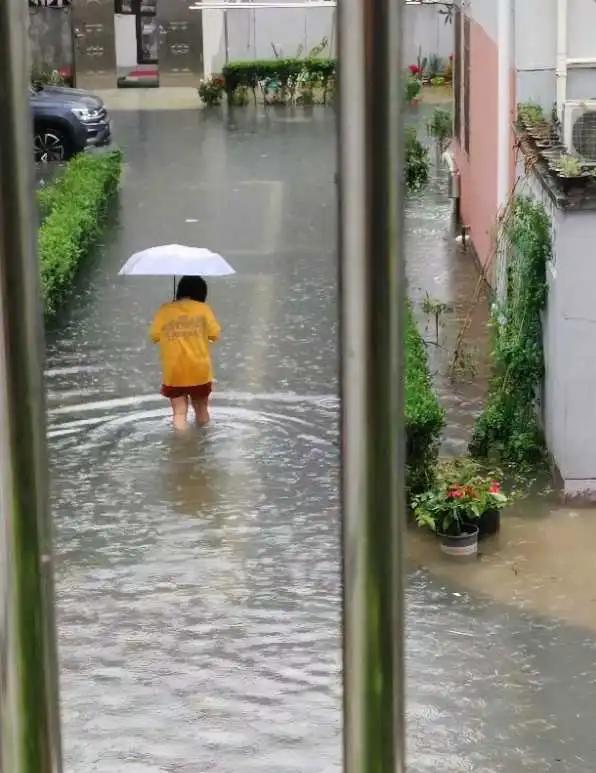 Tôi mất gần 40 triệu chỉ sau một trận mưa: Bài học đắt giá khi mua căn hộ tầng một vì tưởng "rẻ mà hời"- Ảnh 2. Tôi mất gần 40 triệu chỉ sau một trận mưa: Bài học đắt giá khi mua căn hộ tầng một vì tưởng "rẻ mà hời"- Ảnh 2.