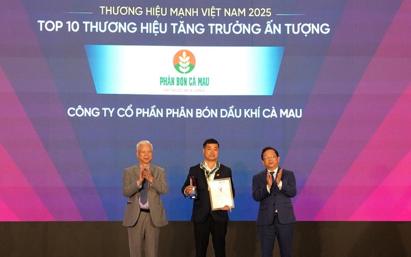 Top 10 thương hiệu tăng trưởng ấn tượng 2025 gọi tên PVCFC- Ảnh 1.