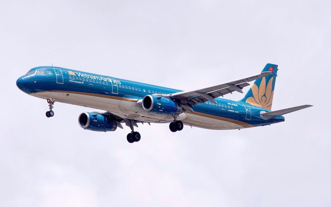 Pacific Airlines triển khai dịch vụ trọn gói trên các đường bay nội địa- Ảnh 1.