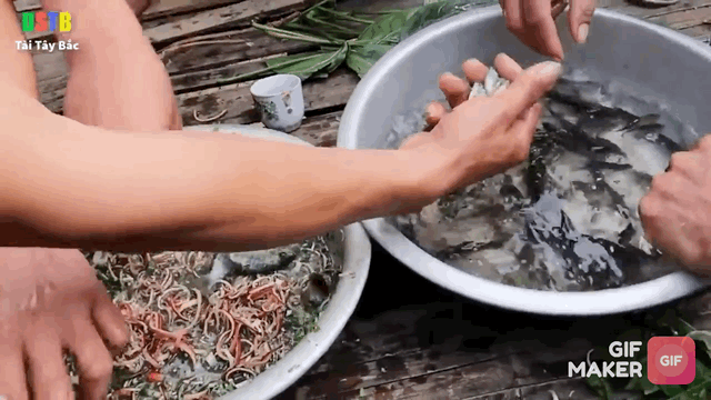 5 món Việt khiến khách Tây sợ "xanh mặt", dân sành ăn lại coi là đặc sản quý- Ảnh 4. 5 món Việt khiến khách Tây sợ "xanh mặt", dân sành ăn lại coi là đặc sản quý- Ảnh 4.