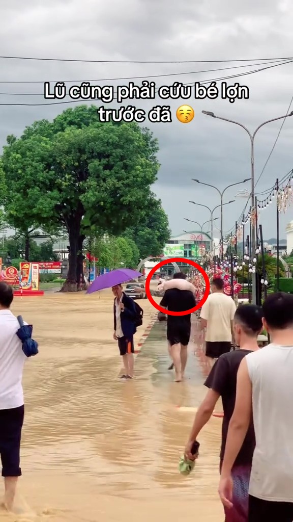 Các "bé lợn" ở Thái Nguyên "vụt sáng" thành ngôi sao vì... mặc kệ lũ, mình ngủ!- Ảnh 7.