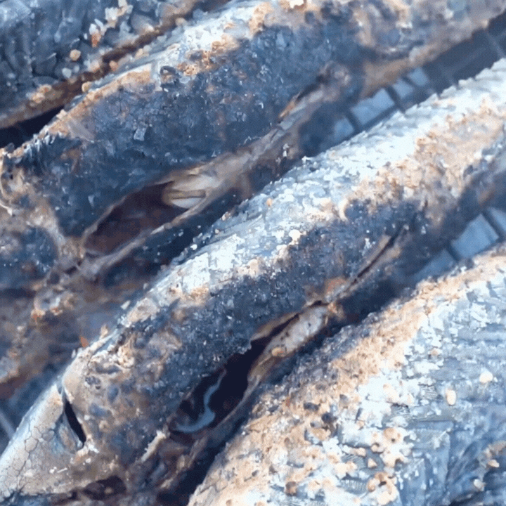 "Thủy quái thời tiền sử" được hội Tiktoker rần rần mukbang gây sốt cộng đồng mạng- Ảnh 13.