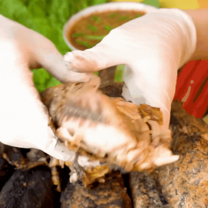 "Thủy quái thời tiền sử" được hội Tiktoker rần rần mukbang gây sốt cộng đồng mạng- Ảnh 14.