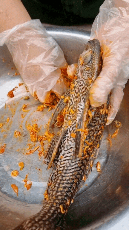 "Thủy quái thời tiền sử" được hội Tiktoker rần rần mukbang gây sốt cộng đồng mạng- Ảnh 17.