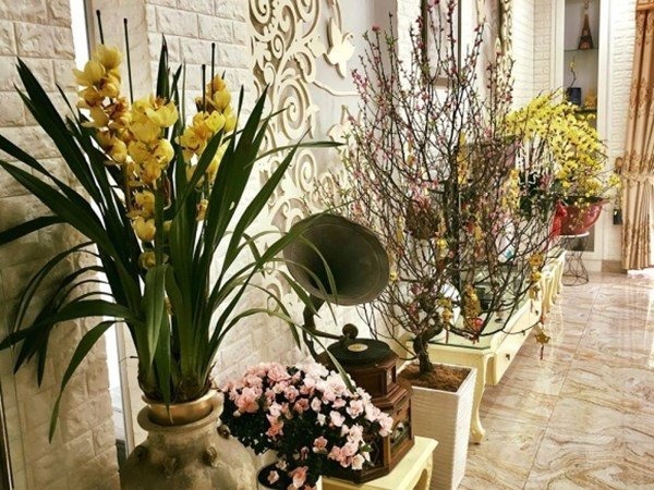 Nơi dưỡng già của NSND Hồng Vân- Ảnh 10.