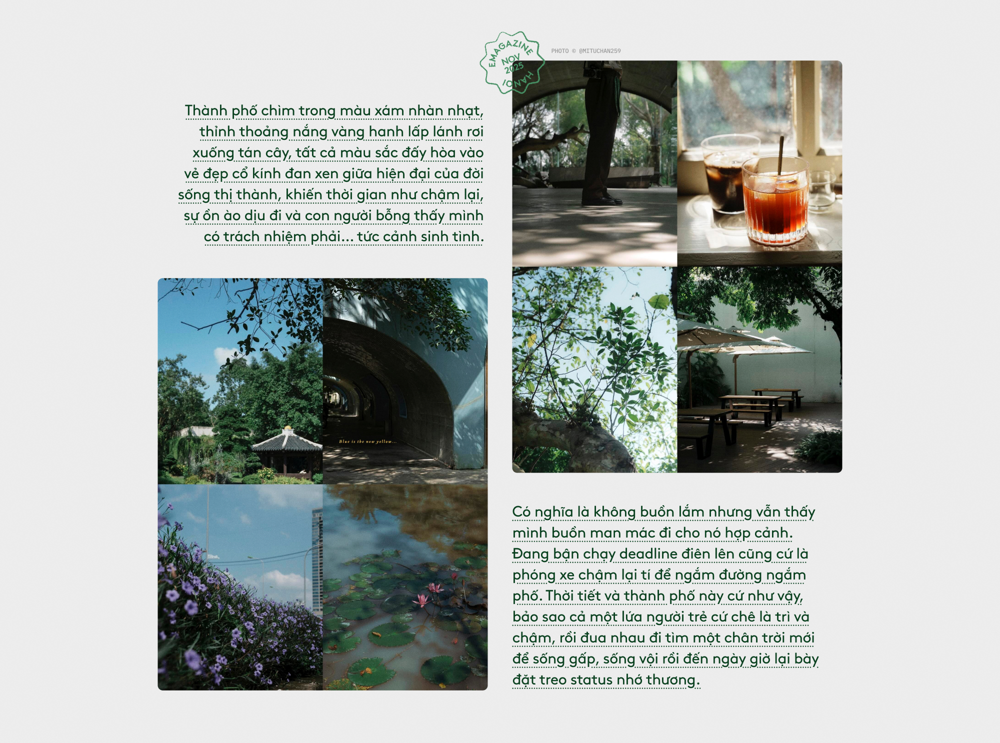 Vạn vật thua Hà Nội ngày trở lạnh- Ảnh 2.