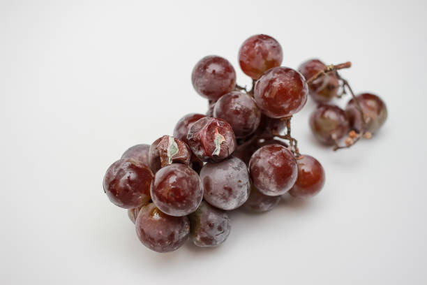 4 loại quả đáng lẽ phải bị cấm từ lâu, chủ hàng hoa quả chẳng dám ăn vậy mà nhiều người vẫn vô tư mua- Ảnh 4.