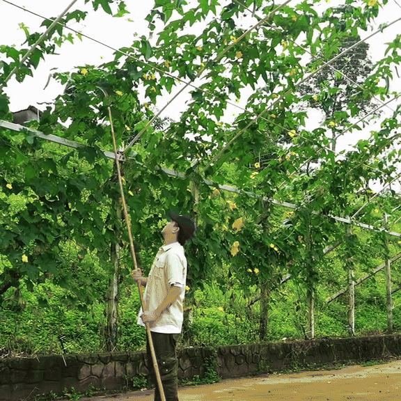 Vợ chồng Hồ Quang Hiếu test trí khôn cộng đồng mạng?- Ảnh 3.