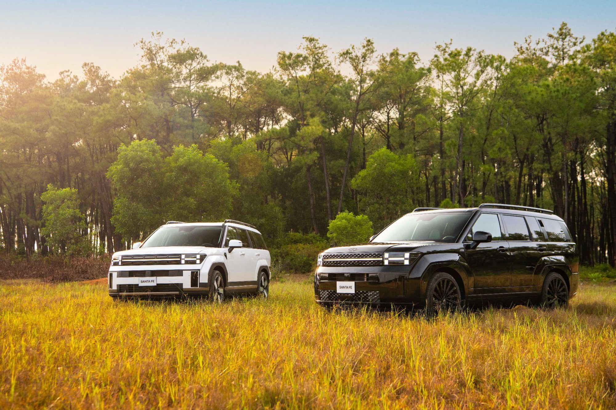 Mua xe Hyundai ‘hời’ nhất lúc này: Chi phí lăn bánh Tucson, Creta giảm mạnh, Palisade ưu đãi tới 200 triệu đồng- Ảnh 1.