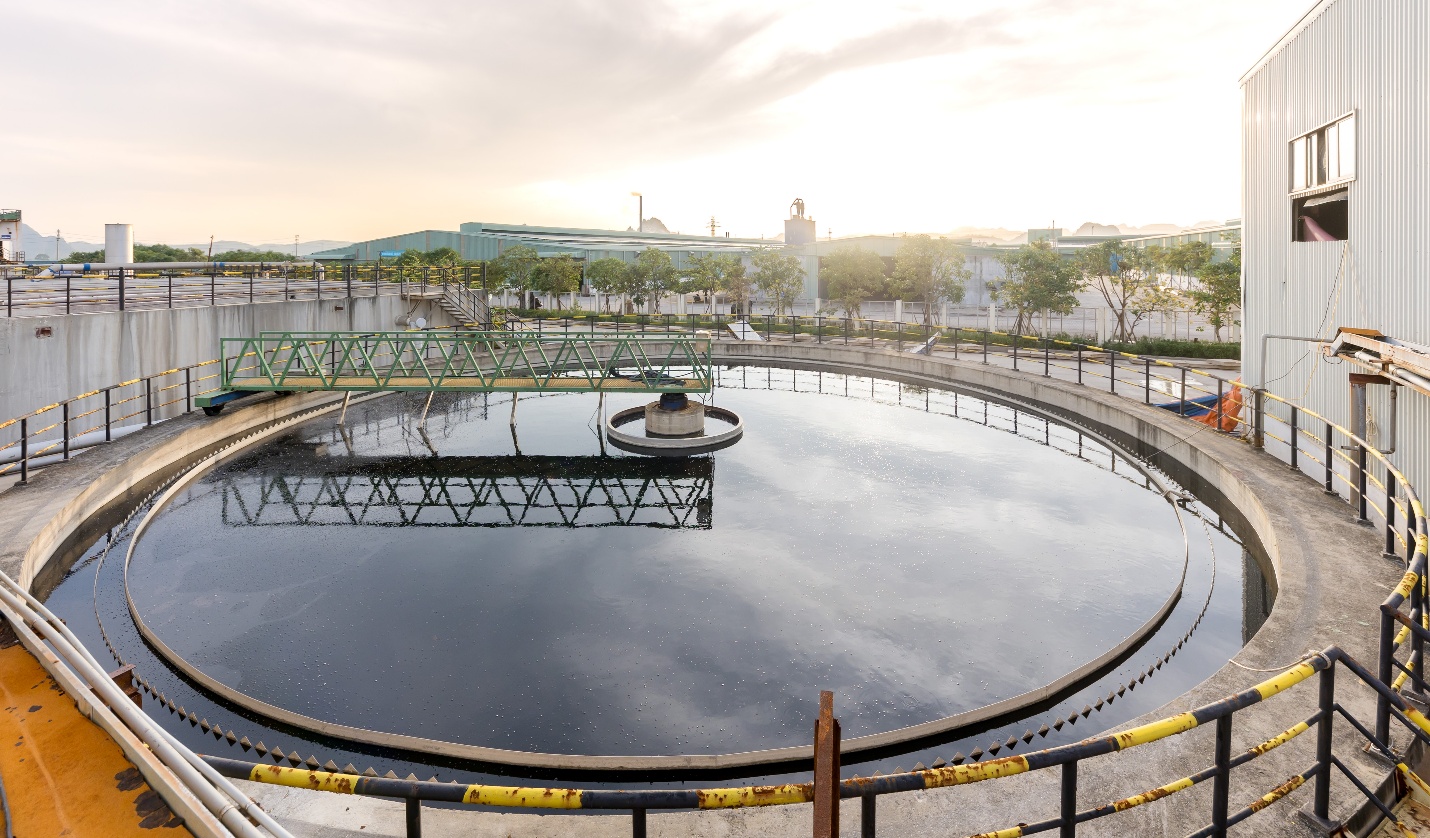 Hồi sinh thứ bỏ đi: Chuyện về “cô gái nông thôn” Miza và hành trình 15 năm bền bỉ- Ảnh 9.