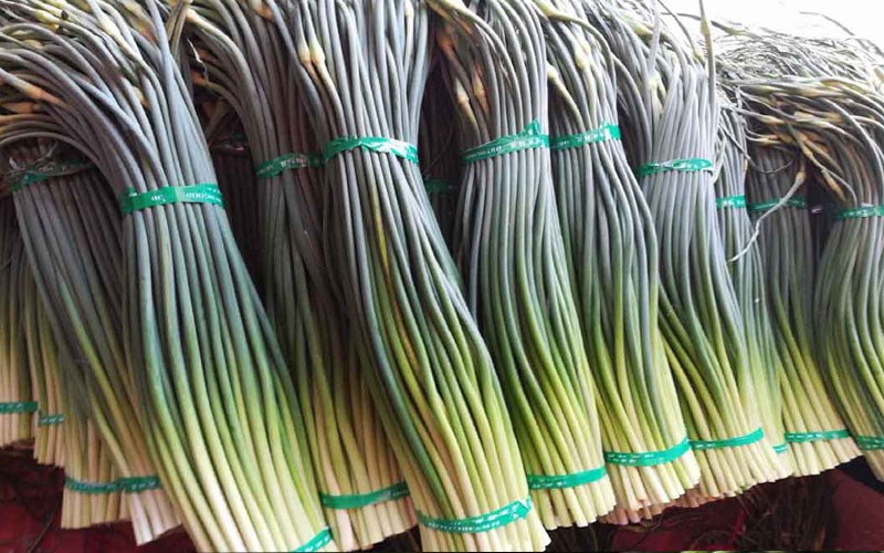 Loại rau này đang vào mùa, đầy ngoài chợ: Dùng nấu món ăn thơm phức, giòn tan lại phòng cúm và ngừa ung thư- Ảnh 1. Loại rau này đang vào mùa, đầy ngoài chợ: Dùng nấu món ăn thơm phức, giòn tan lại phòng cúm và ngừa ung thư- Ảnh 1.