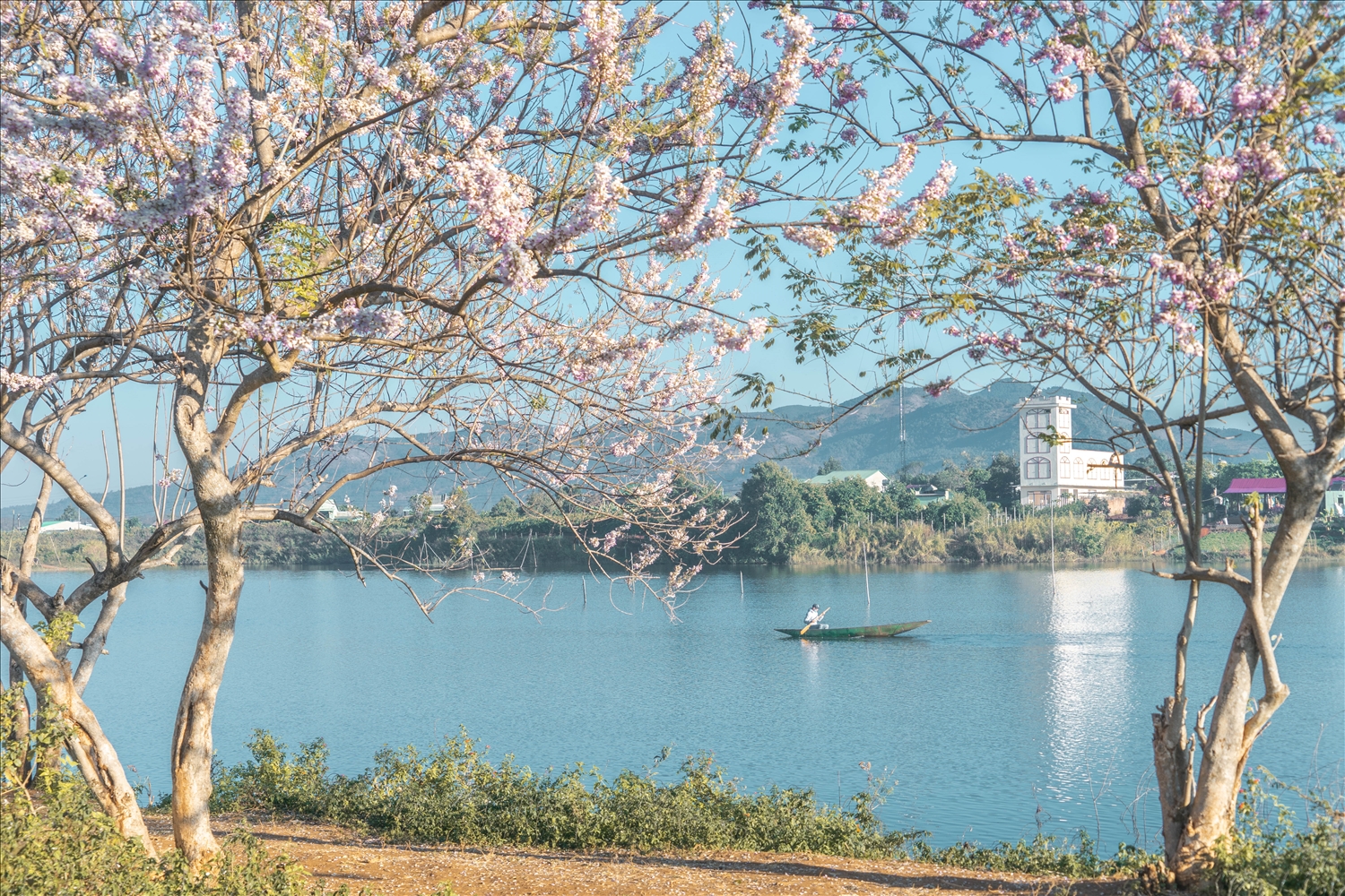 Nguyễn Hùng trở về quê hương với đêm nhạc “Ngân Vang Khát Vọng Đại Ngàn”- Ảnh 5.