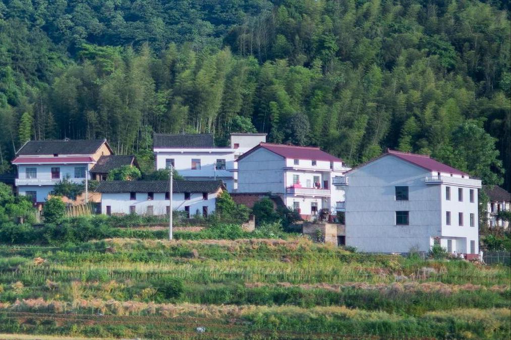 Mua nhà ở quê hay ở phố? Tôi 47 tuổi và chọn phố, dù quê rất đẹp – vì 3 lý do thực tế này- Ảnh 3. Mua nhà ở quê hay ở phố? Tôi 47 tuổi và chọn phố, dù quê rất đẹp – vì 3 lý do thực tế này- Ảnh 3.