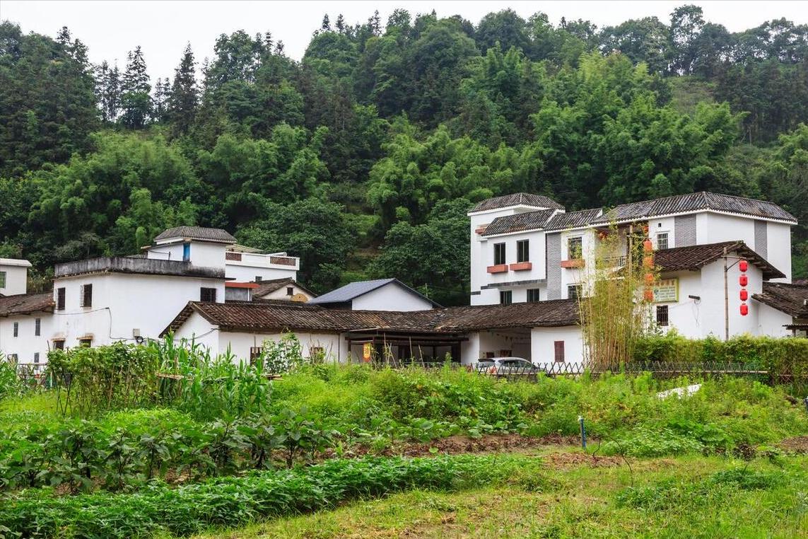 Mua nhà ở quê hay ở phố? Tôi 47 tuổi và chọn phố, dù quê rất đẹp – vì 3 lý do thực tế này- Ảnh 2. Mua nhà ở quê hay ở phố? Tôi 47 tuổi và chọn phố, dù quê rất đẹp – vì 3 lý do thực tế này- Ảnh 2.