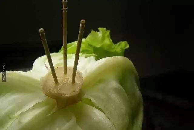 Cắm tăm vào cuống xà lách, ai nghĩ ra mẹo này xin hãy nhận 1 lạy của tôi! - Ảnh 3.