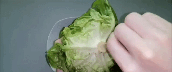 Cắm tăm vào cuống xà lách, ai nghĩ ra mẹo này xin hãy nhận 1 lạy của tôi! - Ảnh 4.