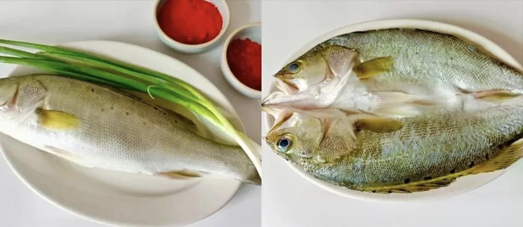 Loại cá này đang rẻ và ngon nhất: Ghim ngay 4 công thức nấu để món ăn vừa mềm mướt, ngọt và không bị tanh- Ảnh 7.