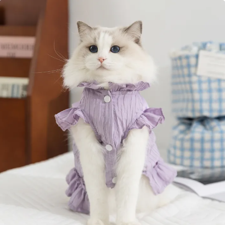 Không cần đặt hàng quốc tế, đồ hot cho "boss" xứ Trung giờ đã về Việt Nam: Rẻ hơn order 1/2 giá, lại freeship- Ảnh 5.