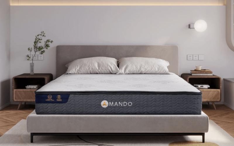 5 thương hiệu nệm lò xo được yêu thích tại Việt Nam- Ảnh 1.