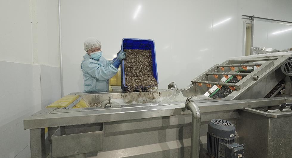 Đạm dế trong mì gói dinh dưỡng: Tầm nhìn mới của Rec Rec về tương lai thực phẩm tiện lợi- Ảnh 2.