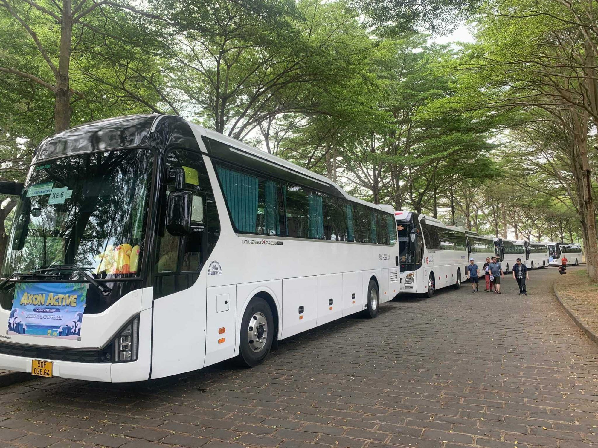 Xe Miền Nam: Định hình chuẩn mực mới cho dịch vụ thuê xe cao cấp tại Việt Nam- Ảnh 4. Xe Miền Nam: Định hình chuẩn mực mới cho dịch vụ thuê xe cao cấp tại Việt Nam- Ảnh 4.