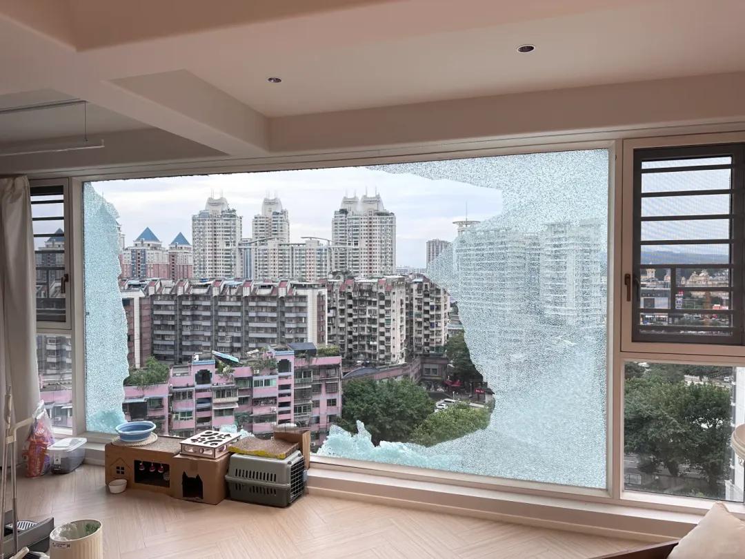 Chồng tôi nhất quyết đóng kín ban công bằng cửa kính, sau 6 tháng tôi hối hận đến mức muốn phá bỏ ngay lập tức- Ảnh 3. Chồng tôi nhất quyết đóng kín ban công bằng cửa kính, sau 6 tháng tôi hối hận đến mức muốn phá bỏ ngay lập tức- Ảnh 3.