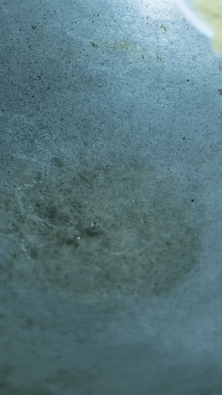 Thịt chuột đồng - món "đặc sản" tưởng đã "thất truyền" bất ngờ hot trở lại, gây chia rẽ cực mạnh trong giới sành ăn- Ảnh 21. Thịt chuột đồng - món "đặc sản" tưởng đã "thất truyền" bất ngờ hot trở lại, gây chia rẽ cực mạnh trong giới sành ăn- Ảnh 21.