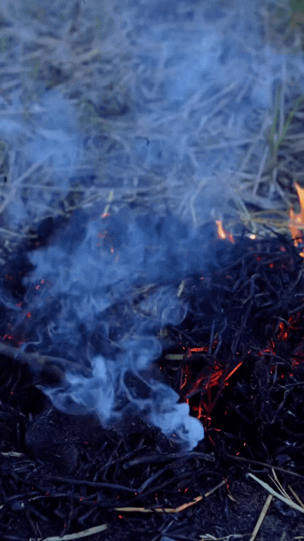 Thịt chuột đồng - món "đặc sản" tưởng đã "thất truyền" bất ngờ hot trở lại, gây chia rẽ cực mạnh trong giới sành ăn- Ảnh 13. Thịt chuột đồng - món "đặc sản" tưởng đã "thất truyền" bất ngờ hot trở lại, gây chia rẽ cực mạnh trong giới sành ăn- Ảnh 13.