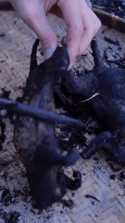 Thịt chuột đồng - món "đặc sản" tưởng đã "thất truyền" bất ngờ hot trở lại, gây chia rẽ cực mạnh trong giới sành ăn- Ảnh 15. Thịt chuột đồng - món "đặc sản" tưởng đã "thất truyền" bất ngờ hot trở lại, gây chia rẽ cực mạnh trong giới sành ăn- Ảnh 15.