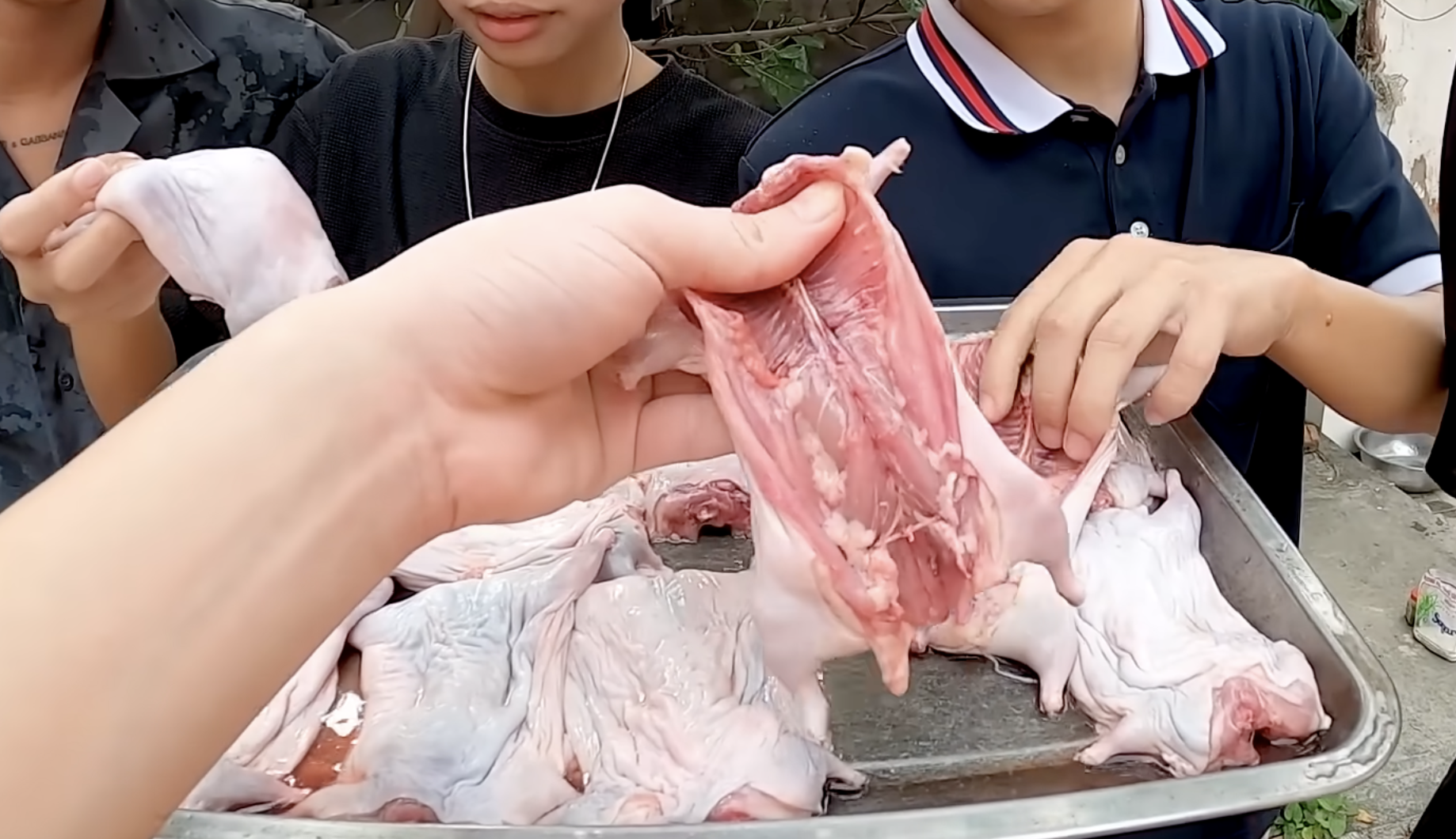 Thịt chuột đồng - món "đặc sản" tưởng đã "thất truyền" bất ngờ hot trở lại, gây chia rẽ cực mạnh trong giới sành ăn- Ảnh 1. Thịt chuột đồng - món "đặc sản" tưởng đã "thất truyền" bất ngờ hot trở lại, gây chia rẽ cực mạnh trong giới sành ăn- Ảnh 1.