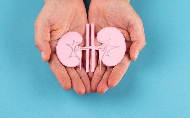 Dinh dưỡng chuyên biệt cho người bệnh thận – Giảm gánh nặng chuyển hóa, tăng cường hồi phục- Ảnh 1.