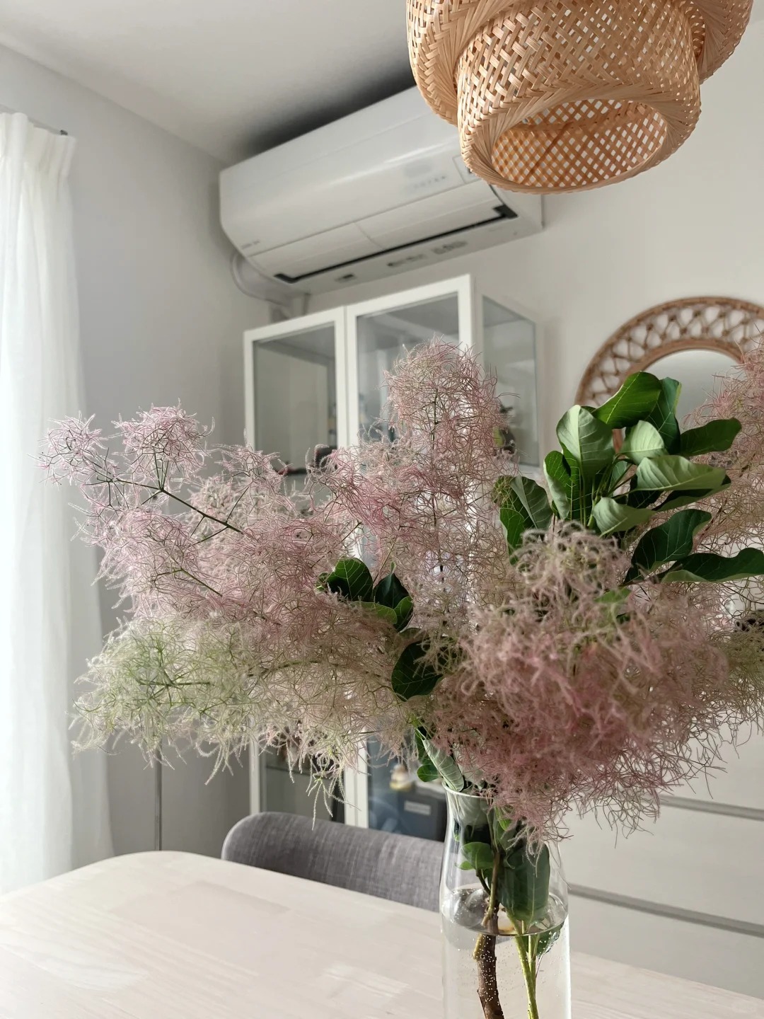 "Lạc lối" trước bình hoa khói tím: Loài cây nhìn như mây bông đang gây sốt góc nhà chị em- Ảnh 15. "Lạc lối" trước bình hoa khói tím: Loài cây nhìn như mây bông đang gây sốt góc nhà chị em- Ảnh 15.